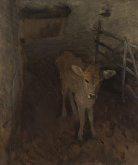 John Singer Sargent A Jersey Calf oil painting picture
